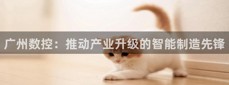 天辰娱乐卡
