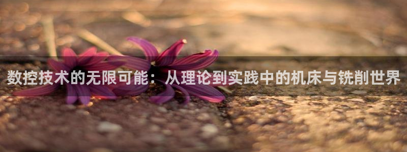 天辰娱乐957807