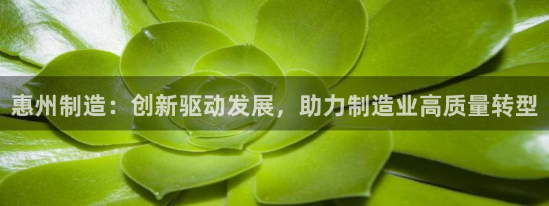 天辰娱乐链接