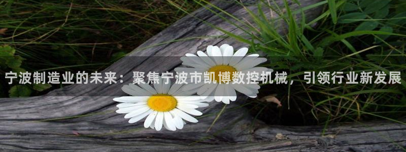 天辰娱乐输了
