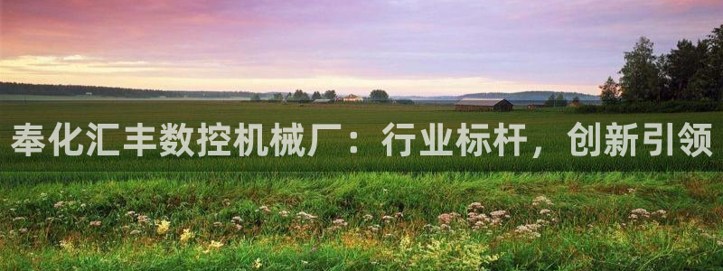 天辰娱乐_ 18113:奉化汇丰数控机械厂:行业标杆,创新引领