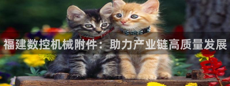 天辰娱乐注册