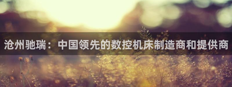 天辰娱乐 注册:沧州驰瑞:中国领先的数控机床制造商和提供商