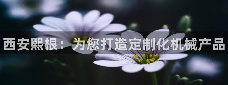 天辰娱乐 . 鱼刺