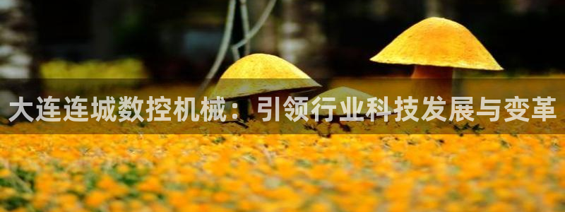 天辰娱乐平台地址在哪里:大连连城数控机械:引领行业科技发展与变革