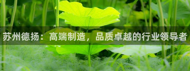 天辰娱乐测试